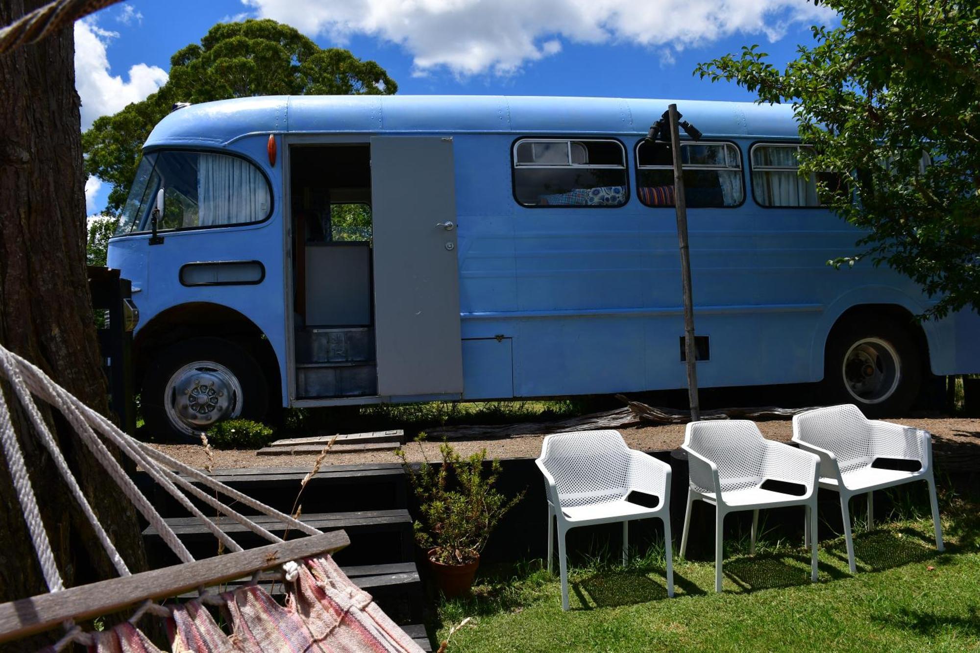 Evi The School Bus At Oromahoe Downs Farm Puketona Экстерьер фото