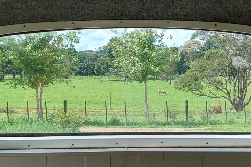 Evi The School Bus At Oromahoe Downs Farm Puketona Экстерьер фото