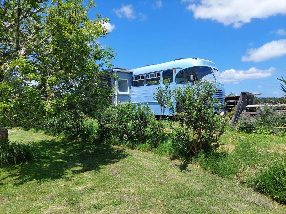 Evi The School Bus At Oromahoe Downs Farm Puketona Экстерьер фото