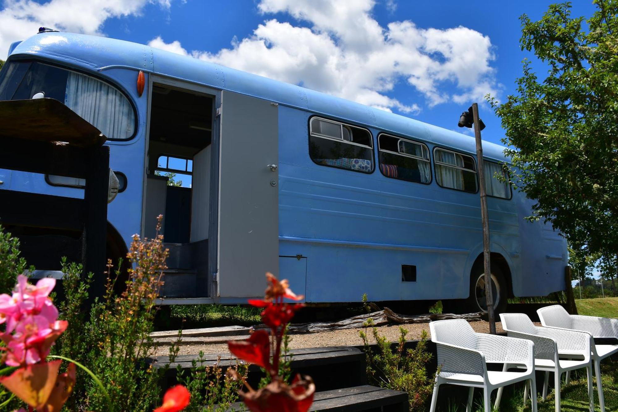 Evi The School Bus At Oromahoe Downs Farm Puketona Экстерьер фото